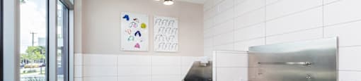 Pet Spa at Morea Apartments, Florida, 33062