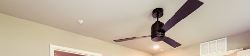 A room with a ceiling fan and carpeted floor.