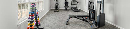 A well-equipped gym with a variety of exercise machines.