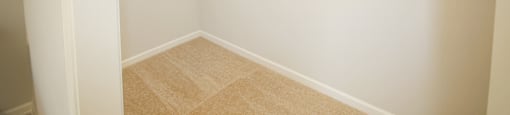 A white closet with a carpeted floor and a white door.