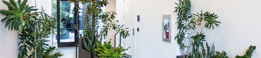 a hallway with white walls and plants in black planters at Analog PDX Apartments, Portland, OR