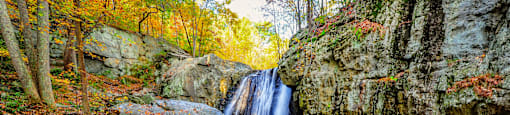 A small waterfall surrounded by rocks and fallen leaves.