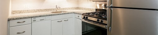 Stainless Steel Appliances