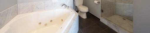 Standing Shower and Jet Bathtub