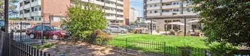Fenced in pet park for your furry friends at 878 S Dexter St in Denver, CO