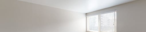 Large windows