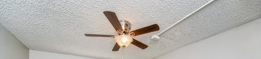 Bedroom with a ceiling fan and plush carpeting