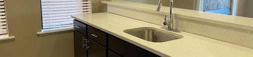 Dishwasher and Goose-Neck Faucets