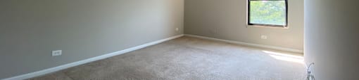 Natural lighting from the windows in the bedroom
