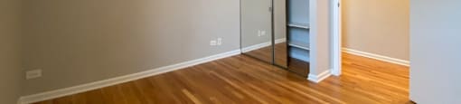 Bedroom with a closet and hardwood flooring