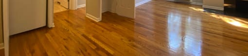 Ceiling fan in the living room - Large One Bedroom