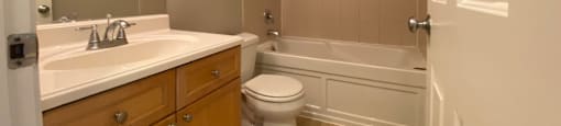 Bathroom with vanity storage and a full tub - Large One Bedroom
