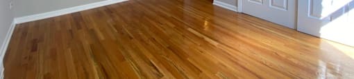 Bright bedroom with plenty of closet space - Large One Bedroom