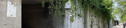 Bloomingdale Trail Access Nearby