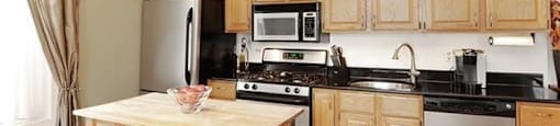 Stainless Steel Appliances