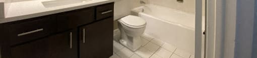 Bright bathroom with dark cabinetry