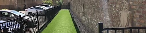 Dog Run