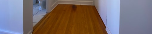 Hallway to bathroom - Helen Dunbar Studio