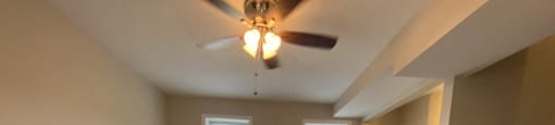 Plenty of natural light
