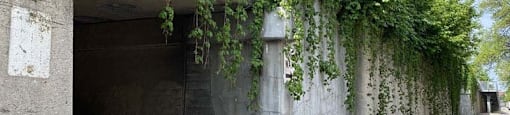 Bloomingdale Trail Access Nearby