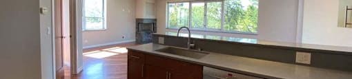 Bright open-concept floorplans