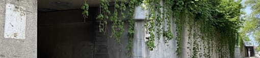 Bloomingdale Trail Access Nearby