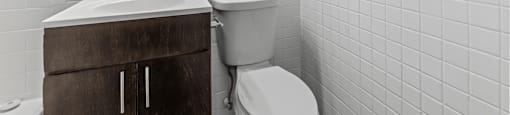 Clean and classic bathroom design with a dark wood vanity, crisp white tiling, and updated lighting for a fresh, polished look at 1444 Saint Paul St in Denver, CO