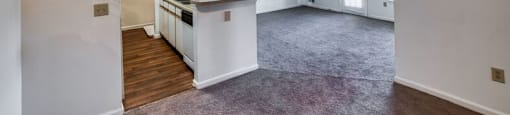 Open living area with plush carpeting