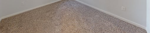 Carpeted Bedroom