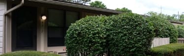 A house with a green hedge in front.