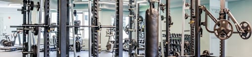 a gym with a lot of exercise equipment in it