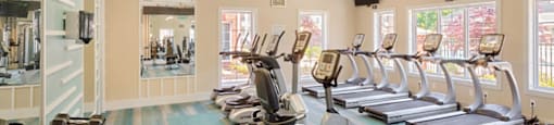 Fitness center with cardio equipment; free weights; flat screen TVs