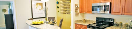 Gourmet Kitchen with Stainless Steel Appliances and Vinyl Tile Floors
