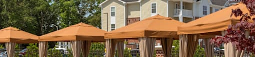 Cabanas with chairs at the pool