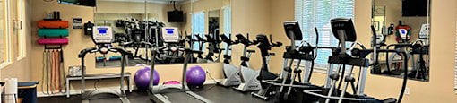 the gym is equipped with cardio equipment and free weights