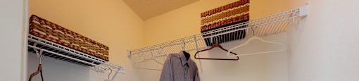 Walk-In Closet with multiple shelves