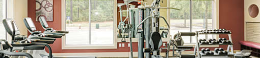 Fitness center with cardio equipment; free weights; resistance training equipment