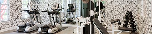 Fitness center; cardio equipment; flat screen TV; free weights