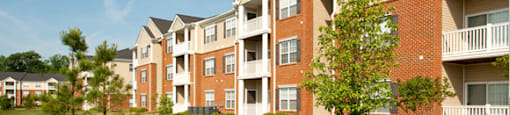 Apartment Buildings Surrounding Grassy Area