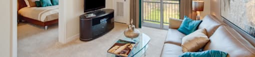 Living room with couch; door to outside; bedroom off the living area