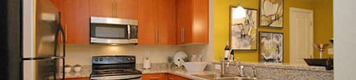 Kitchen with stainless steel appliances; granite countertops; open to living room