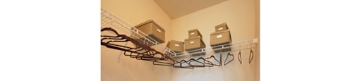 Walk-in closet with shelving