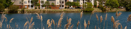 Lake view overlooking apartment buildings