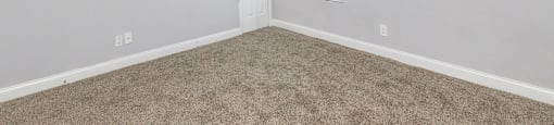 an empty room with carpet and a window