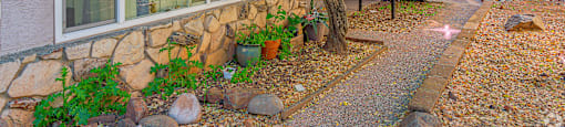 A tree with green leaves is in front of a house.