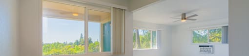 A room with a ceiling fan and a window overlooking a tree-filled landscape.