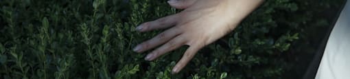 A person's hand is gently touching a green plant.