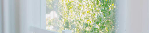 A white window frame with a view of green trees outside.