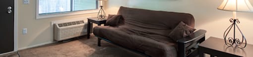 Efficiency_Living_Area_Brookdale_
