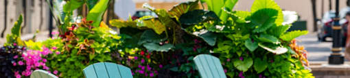 A green chair sits in front of a flower bed.